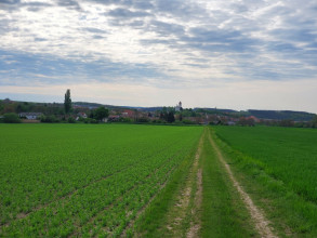 2785810