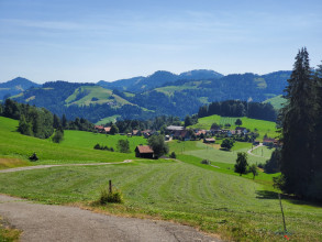 2406573