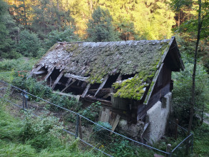 2406706